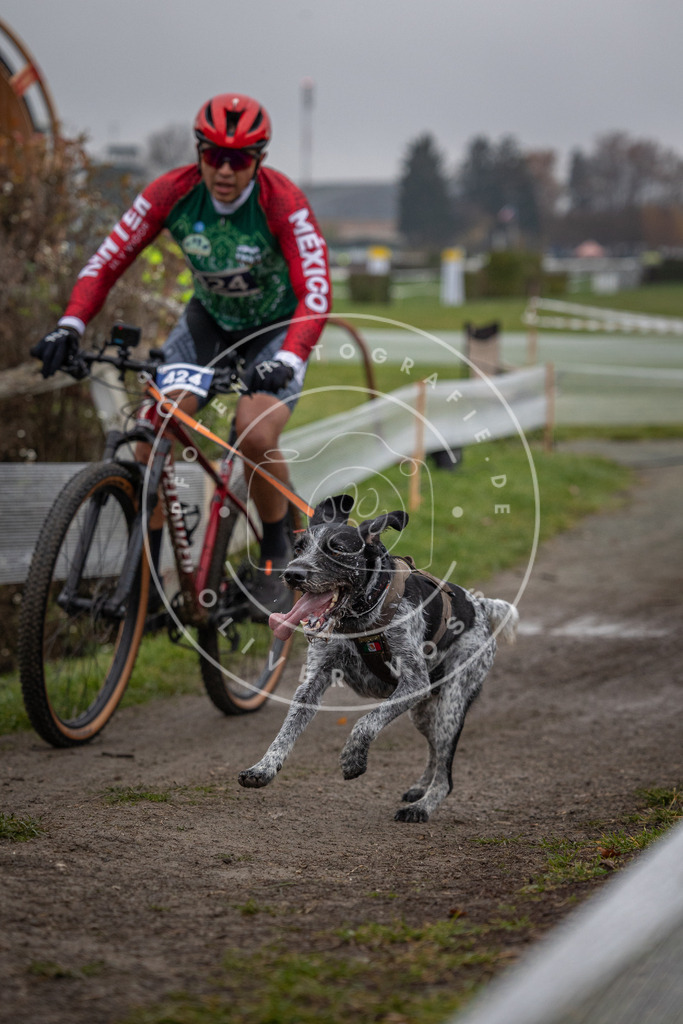 CaniXpix_0L8A1722 | Hundefotografie, Tierfotograf, Pfotenfotografie, Fotoshooting Hund, Hunde Portrait, Hundesport, Hundeportraits, Heideshooting, Hunde, Sportfotograf, Hundefotograf, Turnierhundsport, THS,  - Realisiert mit Pictrs.com
