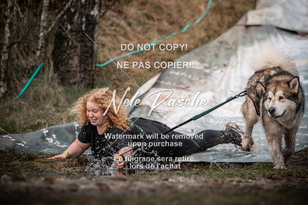 nelerasche_1330-1400_81 | nelerasche