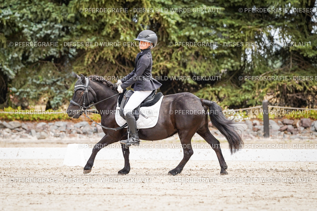 DSC02812 | Pferdegrafie