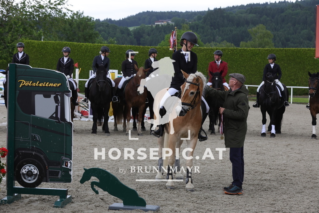 0P6A9262 | Willkommen bei Brunnmayr - Design & Fotografie – Ihrem Spezialisten für Reitturniere und Pferdeveranstaltungen in Oberösterreich, Salzburg und Bayern! Seit über 17 Jahren sind wir leidenschaftlich dabei.