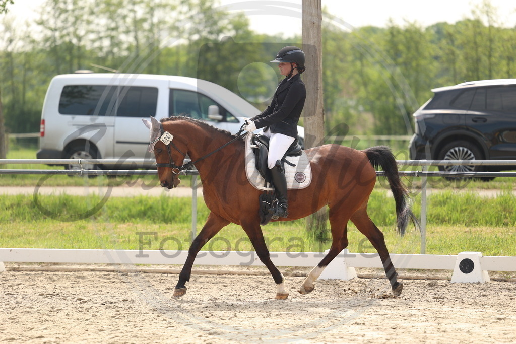 994A6832 | sabrinanicolaifotografie - Realisiert mit Pictrs.com