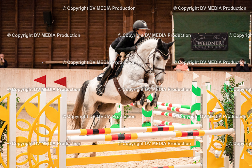 Springen Tag 1-395 | dv-media-shop - Realisiert mit Pictrs.com