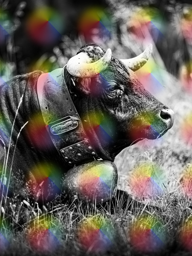 20240815-1M5A9034 | FineArtPrint, Hahnemühle, FeeGalerie, Fee Galerie, Fotokunst, Fotografie, Canonphotography, Bergfoto, Matterhorn, Rimpfischhorn, Allalinhorn, Saas-Fee, Wallis, Valais, Switzerland, Bergfotografie