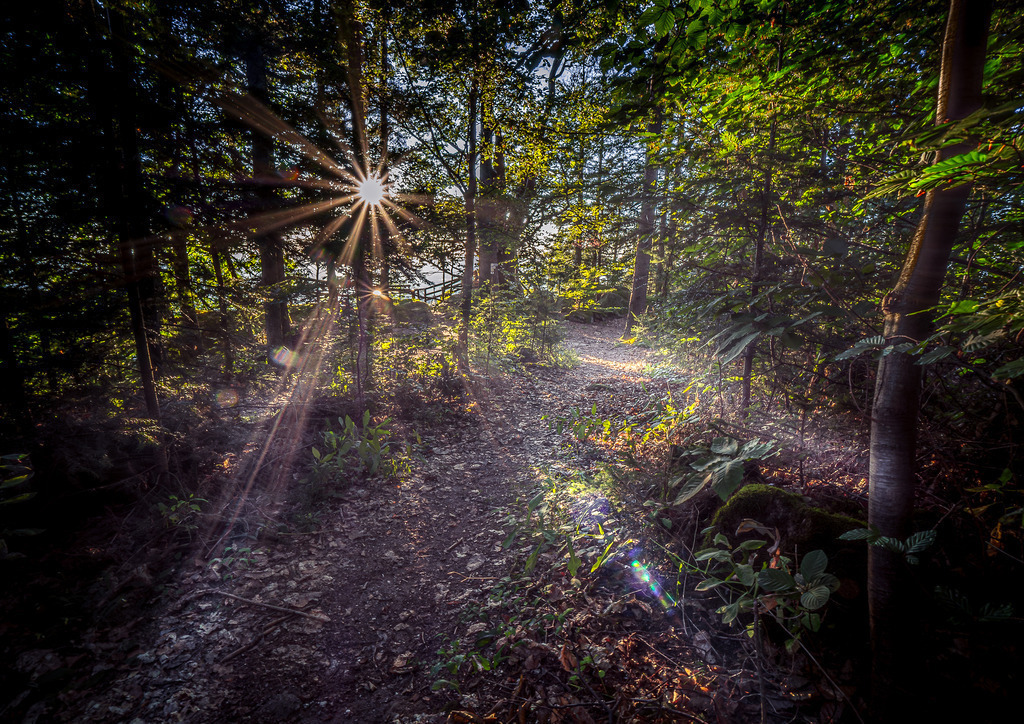 MPI_Landscape_0018 | Herzlich Willkommen im Shop von Michael's Photoimpressionen – Stimmungsvolle Fotografien, aus dem Schwarzwald und der Ortenau, die Licht und Farbe verbinden. Als hochwertige Fine-Art-Prints erhältlich.  - Realisiert mit Pictrs.com