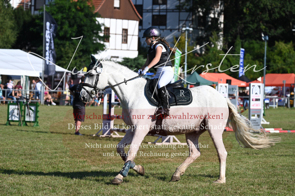 DSC_5199 | Pferde- und Turnierfotografie in Westsachsen. Pferdeportraits, Auftragszeichnungen und intuitive Kunst.
