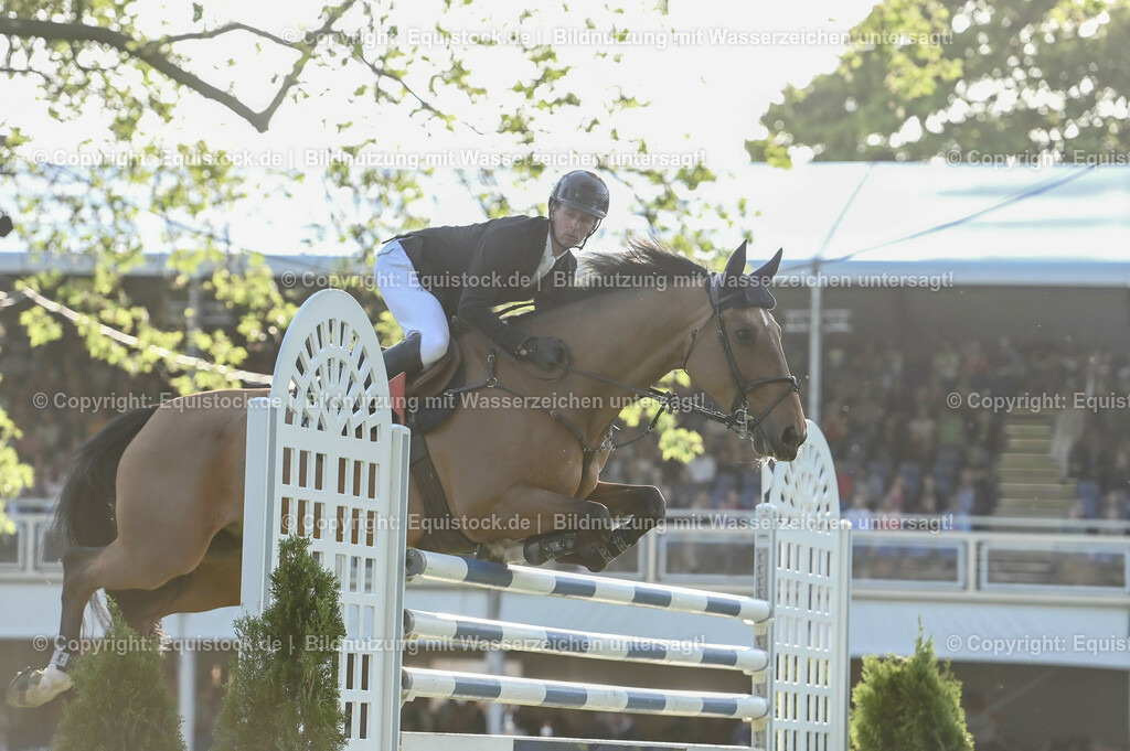 20230526_Pferdenacht_0044 | equistock