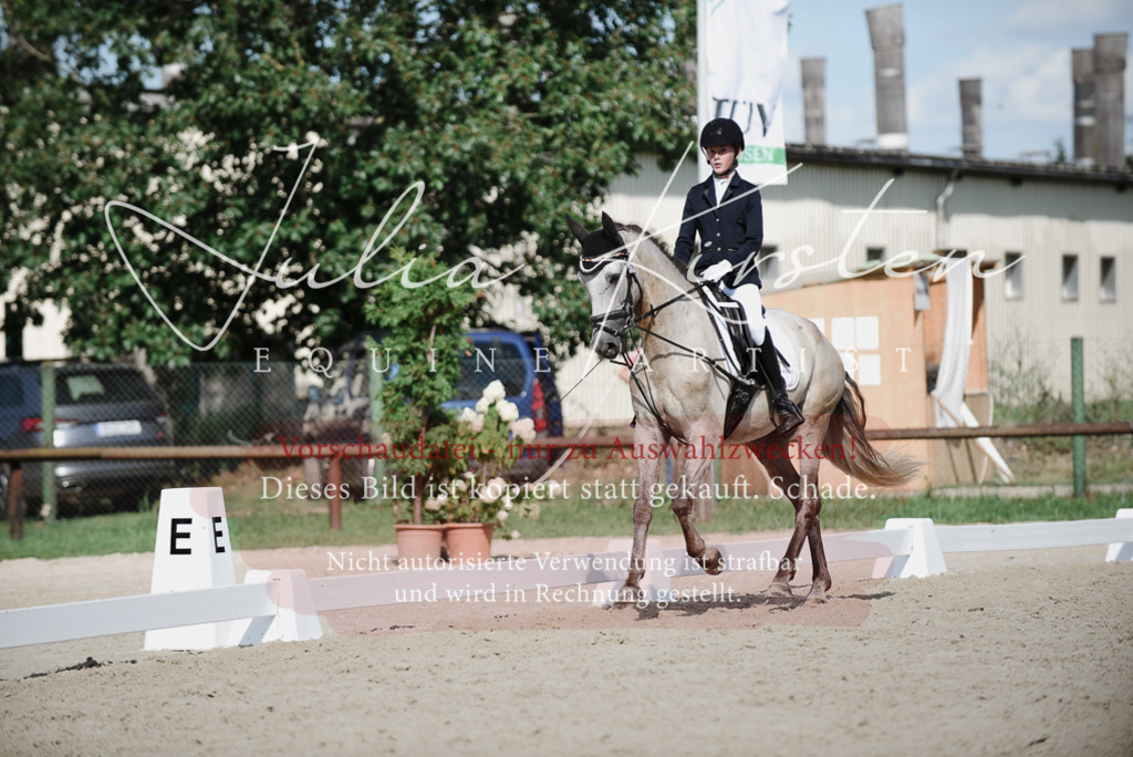 DSC_9995 | Pferde- und Turnierfotografie in Westsachsen. Pferdeportraits, Auftragszeichnungen und intuitive Kunst.