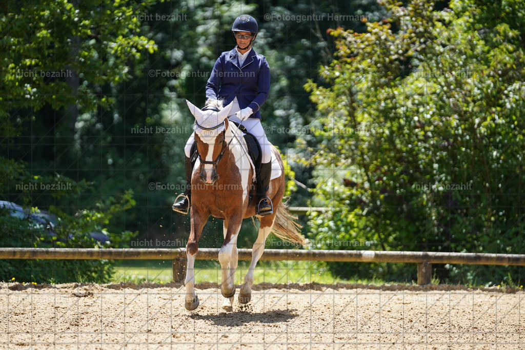 20240705-FAH04176 | Turnierbilder von Grafing, Reitsportbilder, Turnierfotos, Turnierfotografen Bayern, Pferdefotograf, Fotoagentur Herrmann