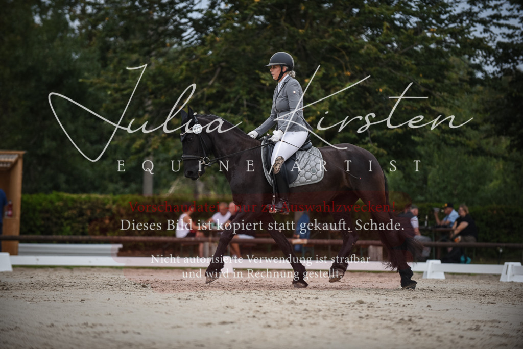 DSC_8310 | Pferde- und Turnierfotografie in Westsachsen. Pferdeportraits, Auftragszeichnungen und intuitive Kunst.