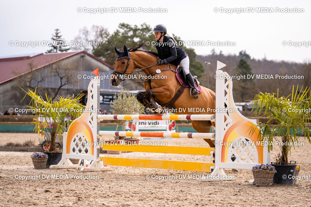 Kranichstein Tag 2-612 | dv-media-shop - Realisiert mit Pictrs.com