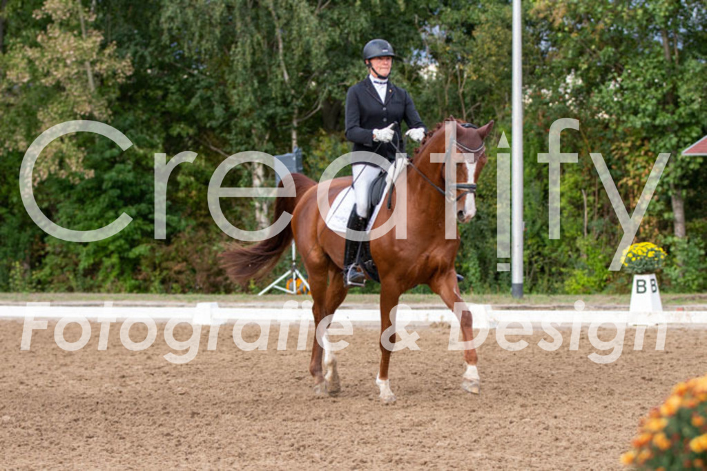 IMG_5006 | Creatify Fotografie