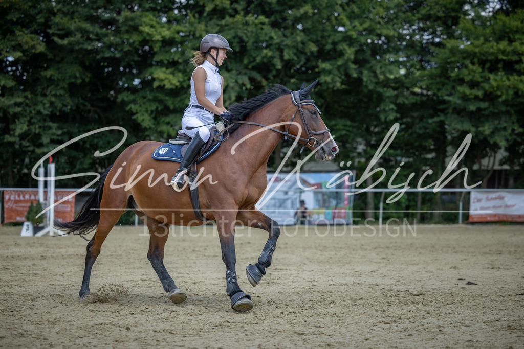 20260704-_3LI9991 | Tierfotografie Pferde, Hunde, Katzen, Haustiere.
Turnierfotografie Reitturniere, Reiten, Springreiten, Dressur in Hanau, dem Main-Kinzig-Kreis und dem Rhein-Main- Gebiet um Frankfurt