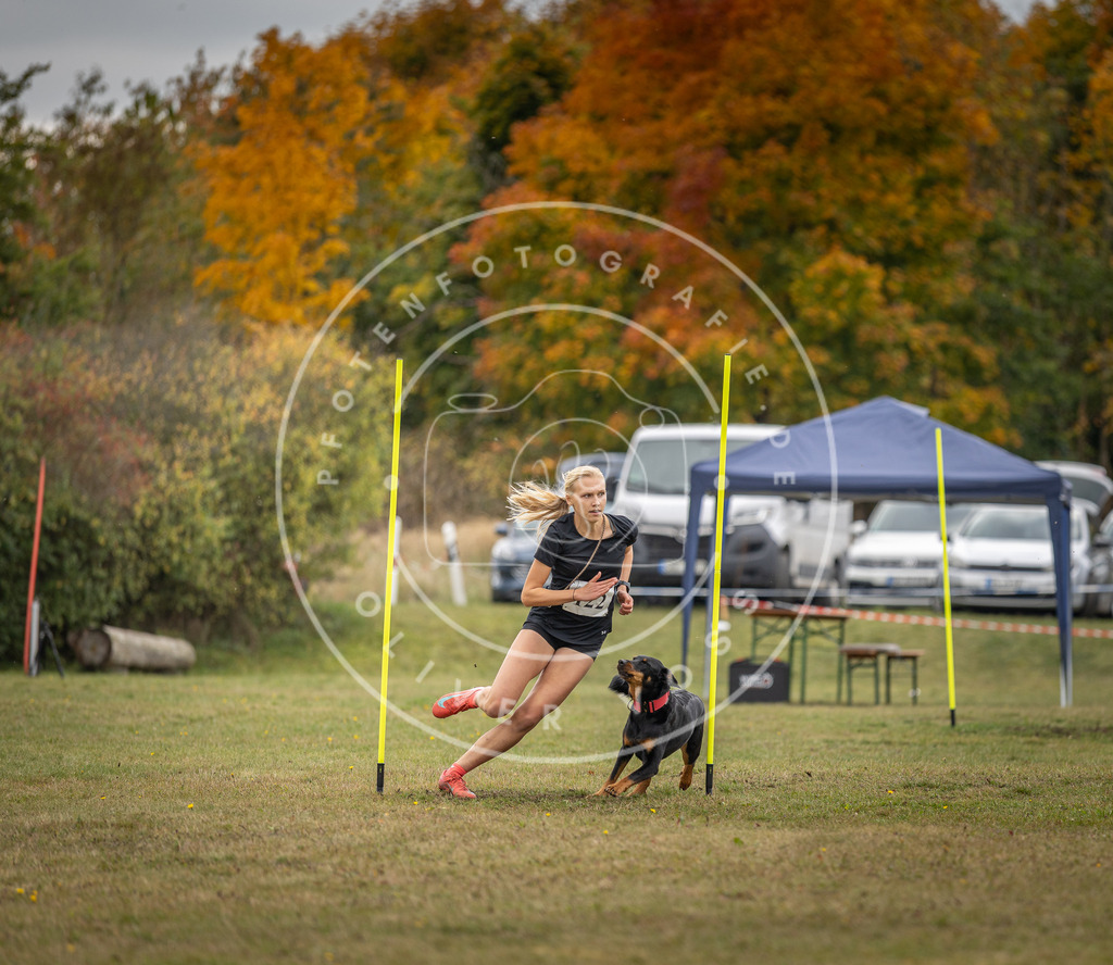 Pfotenfotografie_DV3A7703 | Hundefotografie, Tierfotograf, Pfotenfotografie, Fotoshooting Hund, Hunde Portrait, Hundesport, Hundeportraits, Heideshooting, Hunde, Sportfotograf, Hundefotograf, Turnierhundsport, THS,  - Realisiert mit Pictrs.com