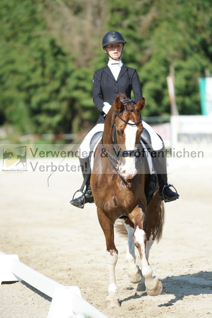 DSC02882 | equestrian-live-com