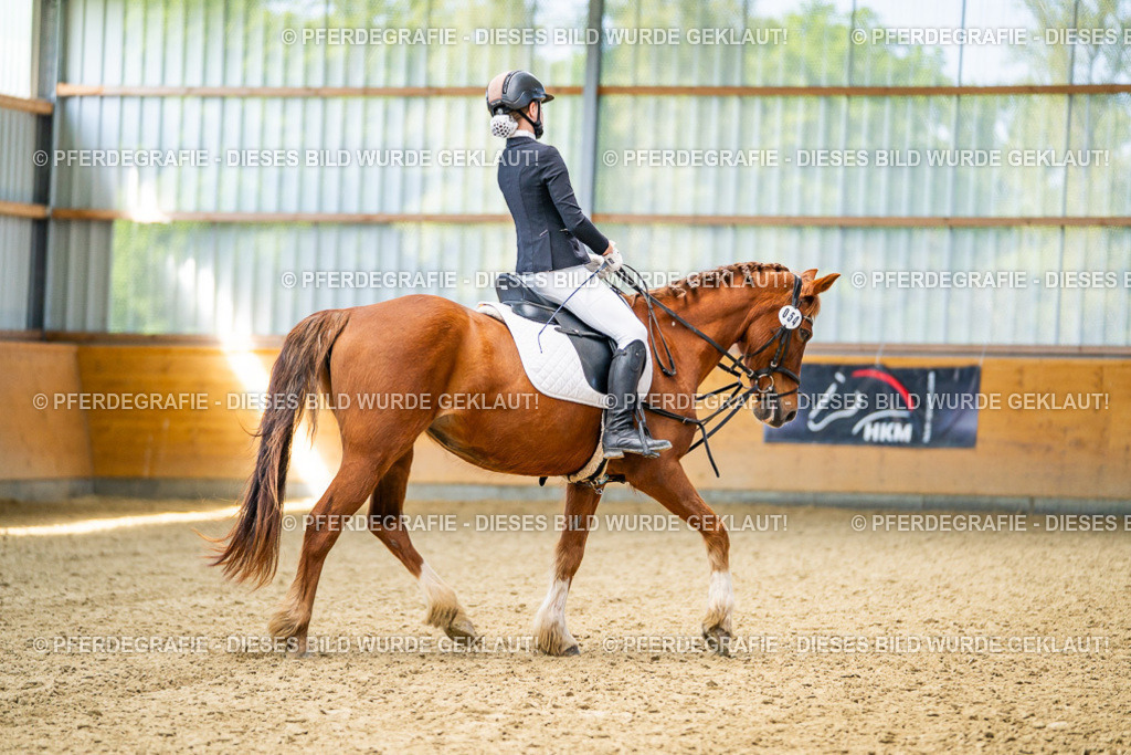 DSC02921 | Pferdegrafie