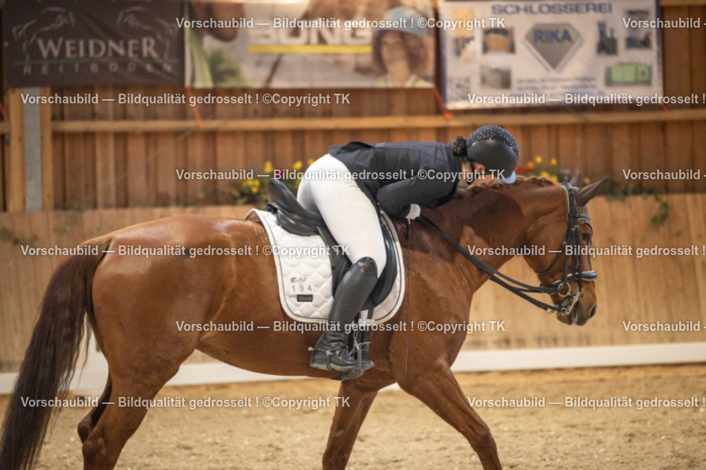 _D5A9733 | Emotionale Pferde- & People-Fotografie rund um Heidelberg, Leimen & Umgebung. Natürliche Fotos von Pferd, Mensch & Familie. Jetzt Termin sichern!