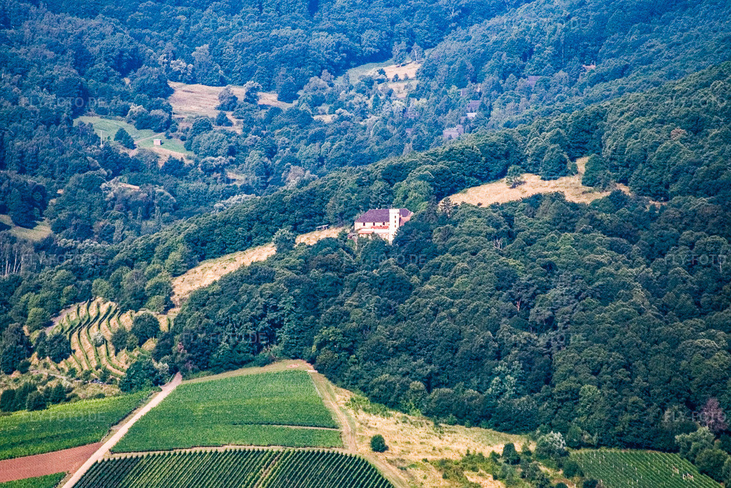 Luftbild: Slevogthof von Osten in Leinsweiler im Bundesland Rheinland-Pfalz in Deutschland. Foto: IMG_12015.jpg vom 31.07.2008 durch Werner Riehm/FLY-FOTO.de