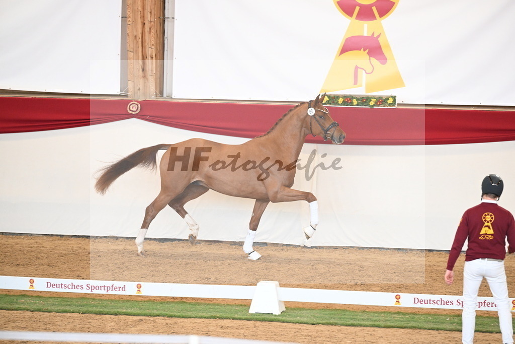 Kat.-Nr. 86 v. Vitalis_Bachinger_2250872 | hf-fotografie - Realisiert mit Pictrs.com