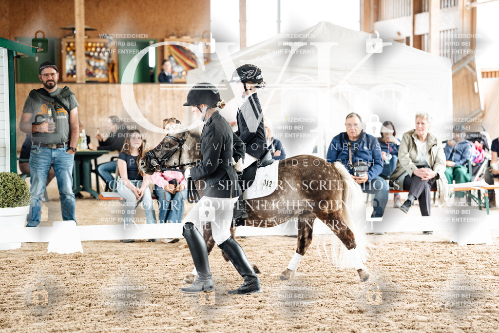 CK902010 | Turnierfotografie Pferdefotografie Trier Rheinland-Pfalz Pferdesport Reitsport Tierfotografie Sportfotografie Pferdevideo Pferdevideografie Equestrianvideography equestrianphotography  - Realisiert mit Pictrs.com