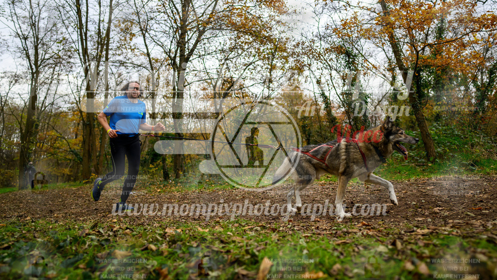 MompixPhotography_Bischwiller24_DI_CoursedeRelais-108 | PayLife