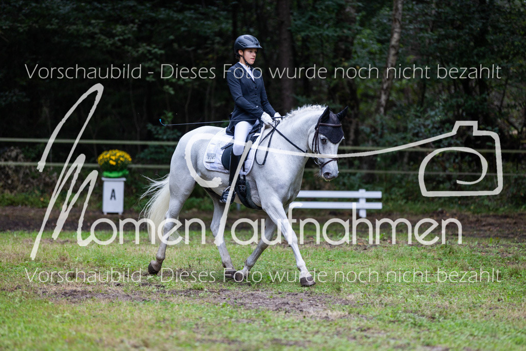 HB-A-Dressur-093 | MomenTaufnahmen Pferdesportfotos