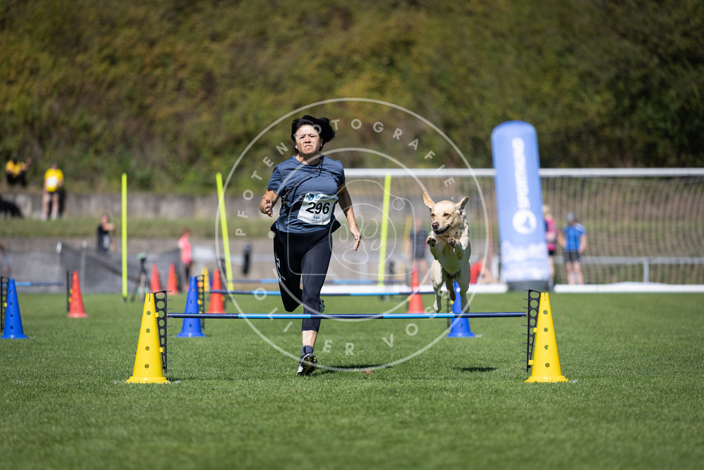 Pfotenfotografie_DV3A7626 | Hundefotografie, Tierfotograf, Pfotenfotografie, Fotoshooting Hund, Hunde Portrait, Hundesport, Hundeportraits, Heideshooting, Hunde, Sportfotograf, Hundefotograf, Turnierhundsport, THS,  - Realisiert mit Pictrs.com