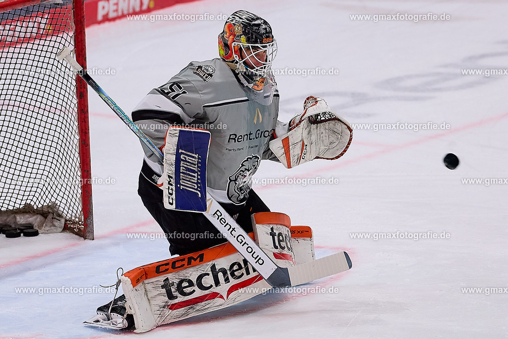 Löwen-Eisbären_250219_71 | gmaxfotografie Oelze-de Stoppany Fotograf Schwäbisch Gmünd Stuttgart Frankfurt Gerald