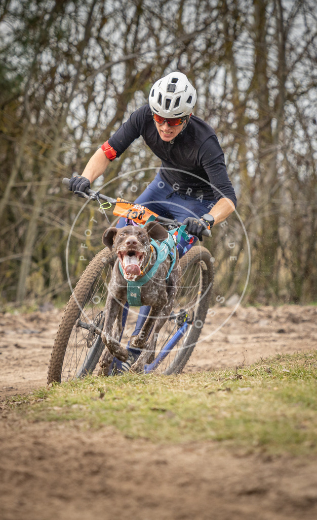 Pfotenfotografie_DV3A9243 | Hundefotografie, Tierfotograf, Pfotenfotografie, Fotoshooting Hund, Hunde Portrait, Hundesport, Hundeportraits, Heideshooting, Hunde, Sportfotograf, Hundefotograf, Turnierhundsport, THS,  - Realisiert mit Pictrs.com