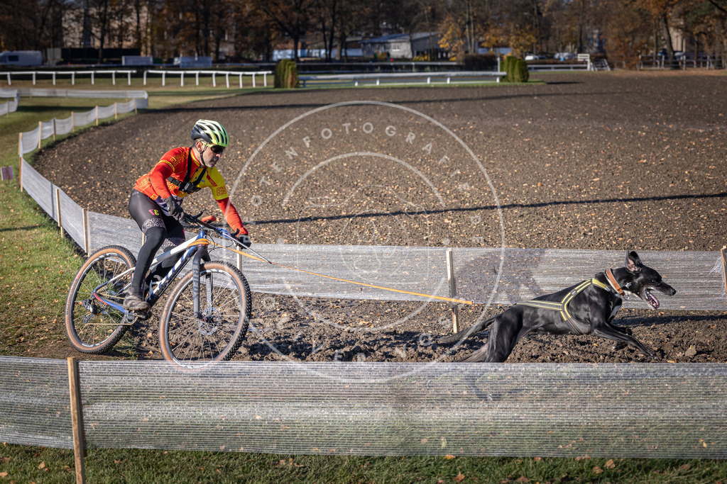 CaniXpix_DV3A3435 | Hundefotografie, Tierfotograf, Pfotenfotografie, Fotoshooting Hund, Hunde Portrait, Hundesport, Hundeportraits, Heideshooting, Hunde, Sportfotograf, Hundefotograf, Turnierhundsport, THS,  - Realisiert mit Pictrs.com