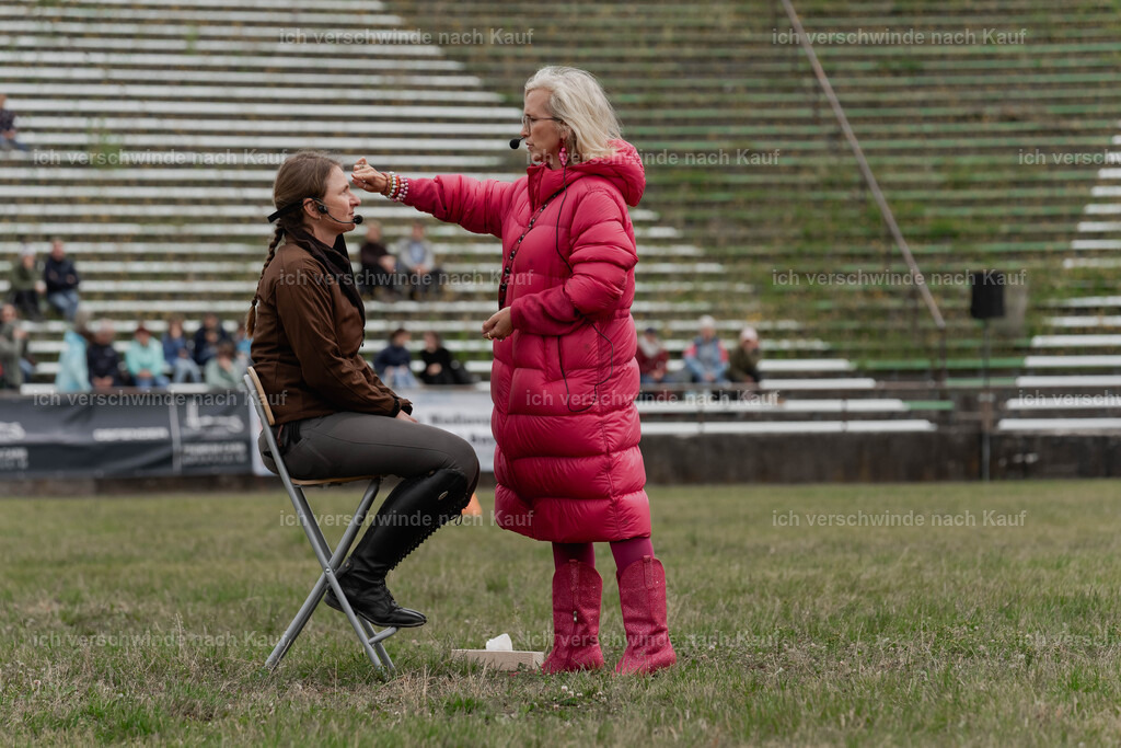 Showprogramm-171 | working equitationturnier fotograf videograf stoibphotography marixx film working equitation deutschland reitsport turnierfotografie eventfotografie equestrian events