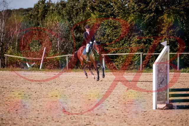 2026_10_03_Siefer-Hof_154043_Z81_56809746 | Professionelle Reitsport-, Turnier- und Eventfotografie von Robert Broda. Galerien mit ausgewählten und bearbeiteten Bildern direkt online ansehen und bestellen.