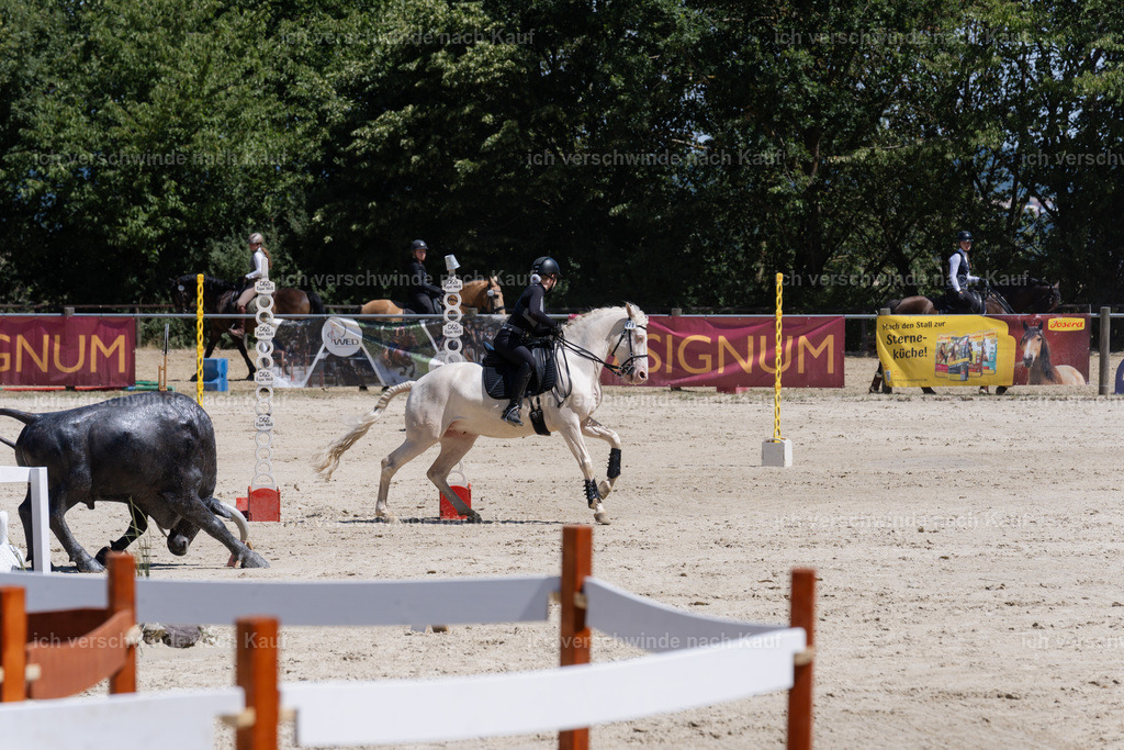 WM_SP_76_SinaFilmArt_IN06666 | working equitationturnier fotograf videograf stoibphotography marixx film working equitation deutschland reitsport turnierfotografie eventfotografie equestrian events