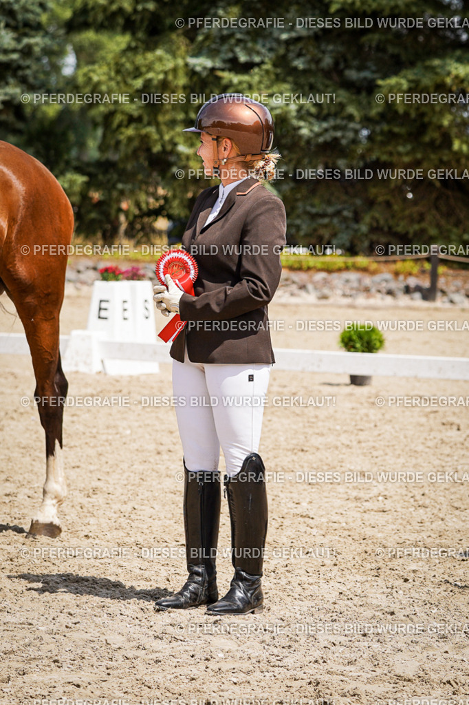 DSC01770 | Pferdegrafie