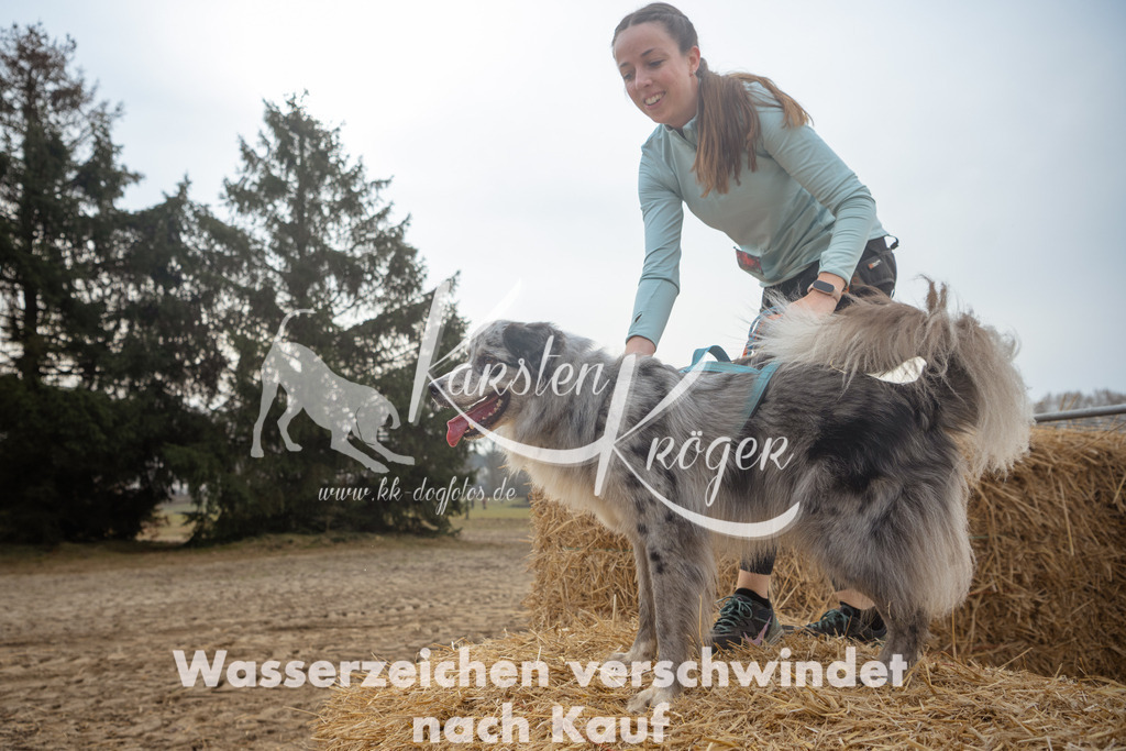 0959_ZZ91507 | kk-dogfotos