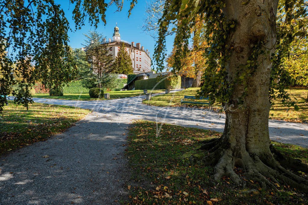 DSC00632 | Professioneller Fotograf - Bildbestellung online - Wandbilder vom Profi für ihr Zuhause, Büro, Praxis, Firma - große Auswahl an Materialien und Formaten, über 1400 regionale Motive