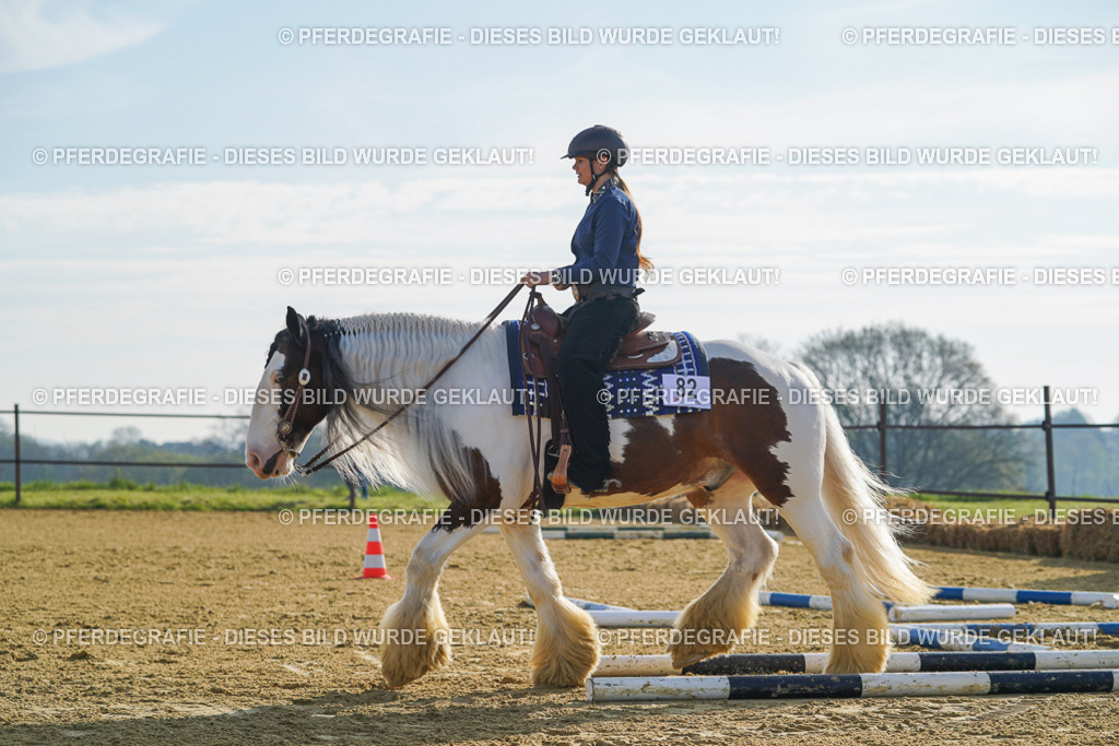 DSC00886 | Pferdegrafie