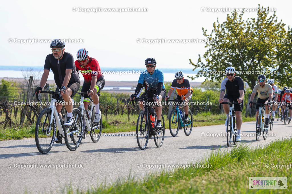 IMG_1849 | @sportshot_your_pictrs #yourpictures#roadtowm2029 #nrm #neusiedlerseeradmarathon #neusiedlersee #neusiedlerseetourismus #burgenland #mörbisch #nrm26 #burgenlandtourismus #voglundco #poweredbyburgenlandtourismus #radsport #rad #marathon #ucigranfondo #visitburgenland #ucigranfondoworldseries