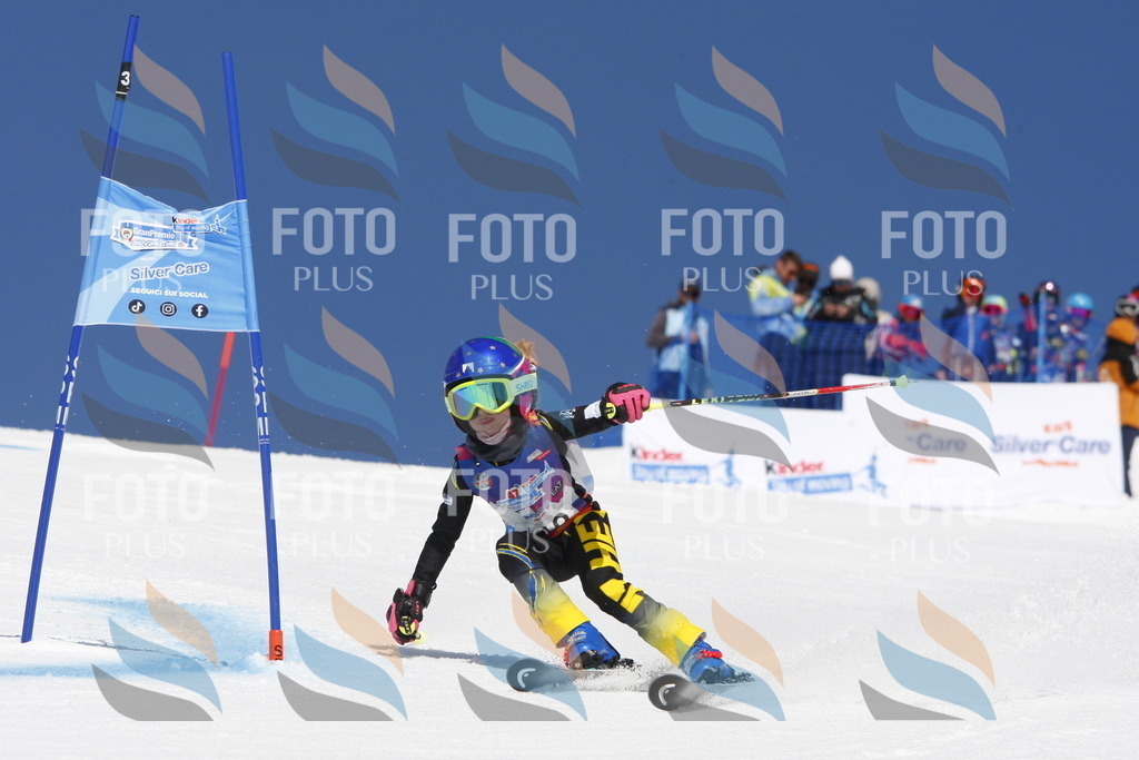 _W1G1679 | holidayphoto