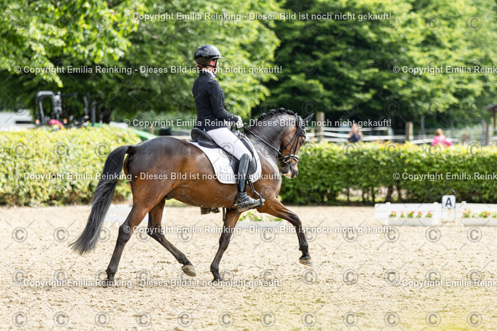 CL5A6185 | Emilia Reinking Fotografie - Realisiert mit Pictrs.com