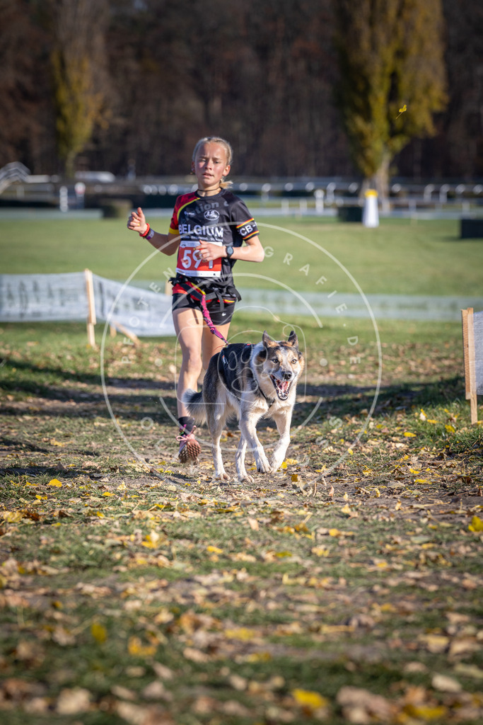 CaniXpix_DV3A9263 | Hundefotografie, Tierfotograf, Pfotenfotografie, Fotoshooting Hund, Hunde Portrait, Hundesport, Hundeportraits, Heideshooting, Hunde, Sportfotograf, Hundefotograf, Turnierhundsport, THS,  - Realisiert mit Pictrs.com