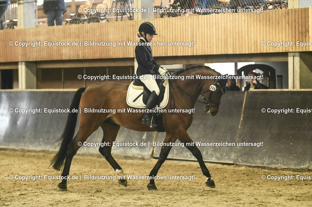 20231029_05_Dressur-A_0118 | Foto: Thomas Hartig