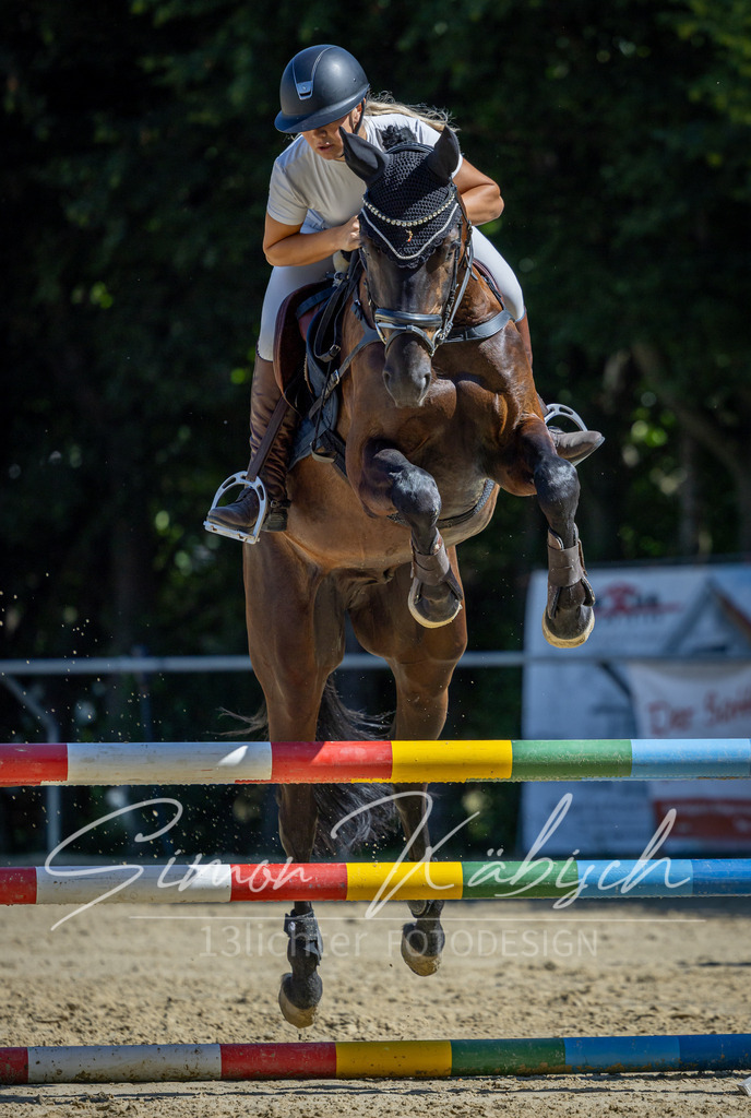 20260704-_3LI7614 | Tierfotografie Pferde, Hunde, Katzen, Haustiere.
Turnierfotografie Reitturniere, Reiten, Springreiten, Dressur in Hanau, dem Main-Kinzig-Kreis und dem Rhein-Main- Gebiet um Frankfurt