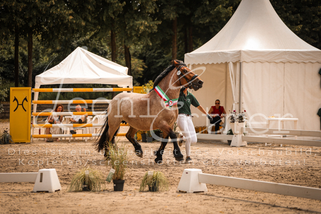 SaSieger00074 | Leoni Ertmer Photography - Realisiert mit Pictrs.com