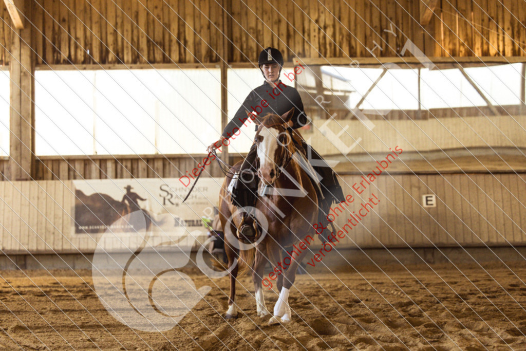 IMG_5639 | Sport-, Event- und Tierfotos in Profiqualität. Einfach auswählen, bestellen und herunterladen. Dein Moment – perfekt festgehalten.