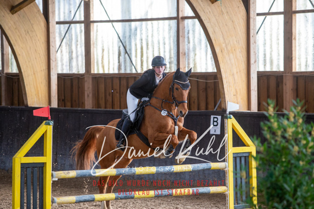 IMG_2016 | Turniersportfotografie; Pferdefotografie; Dressurfotografie