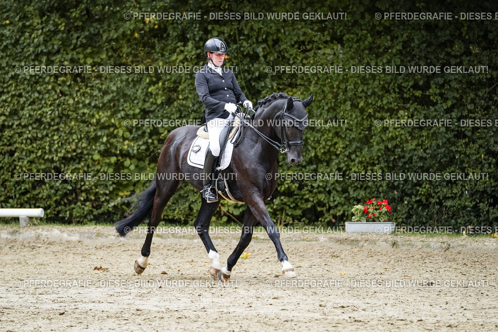 DSC02141 | Pferdegrafie