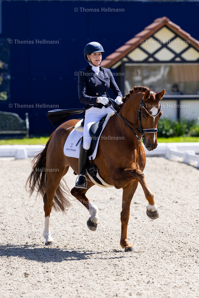 TH_383-HELGSTRAND Marianne (DEN)_ Valerio 42_36587 | Horses &amp; Dreams 2026 am 26.04.26 in Hagen a.T.W., Thomas Hellmann, 383HELGSTRAND Marianne (DEN), Valerio 42
