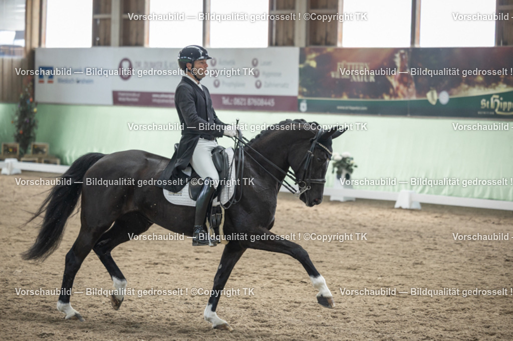 _D5A5098 | Emotionale Pferde- & People-Fotografie rund um Heidelberg, Leimen & Umgebung. Natürliche Fotos von Pferd, Mensch & Familie. Jetzt Termin sichern!