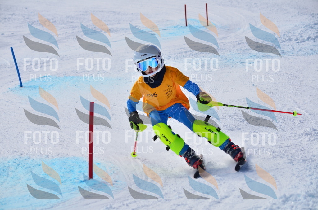 C8729 | holidayphoto