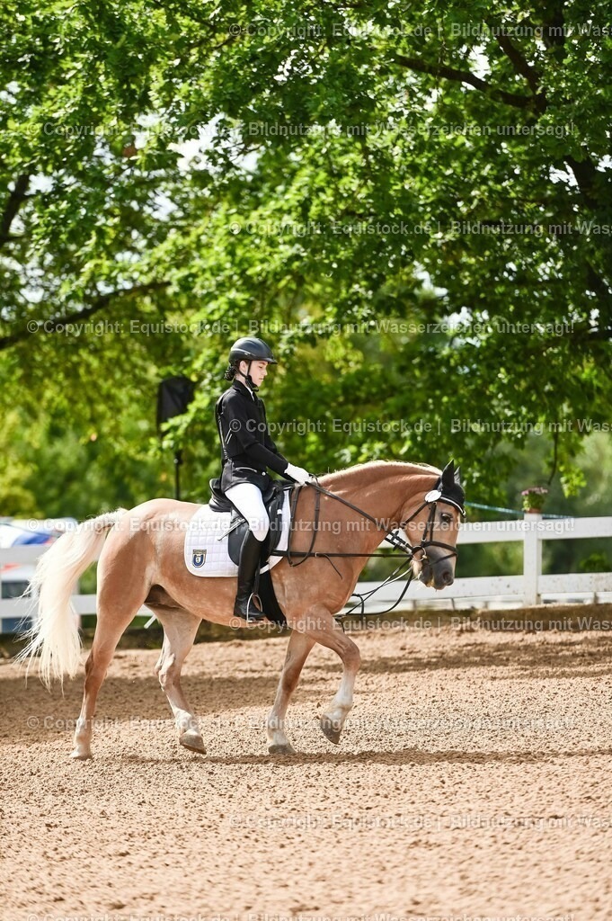 20230716_10-1_Reiter-WB Schritt - Trab - Galopp_0204 | equistock